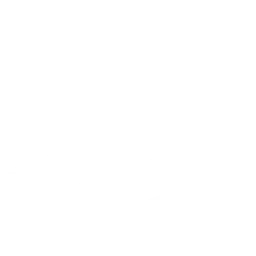 PS 5